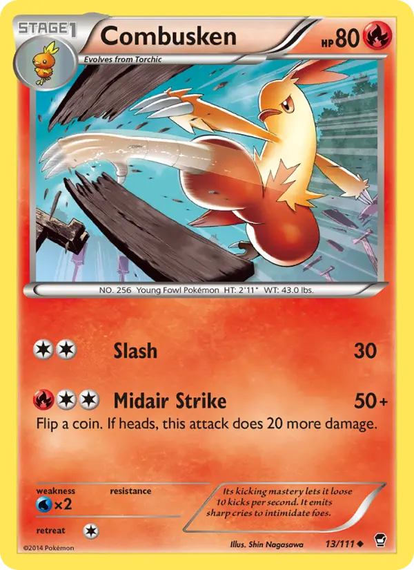 Combusken - 13
