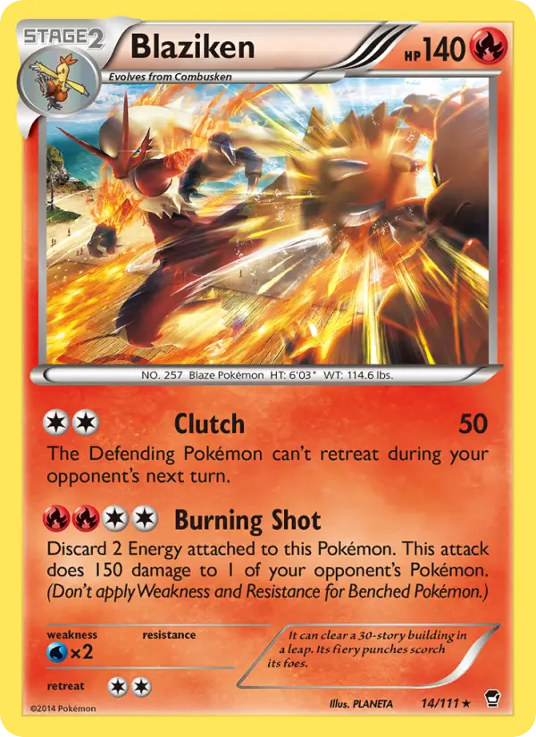 Blaziken - 14