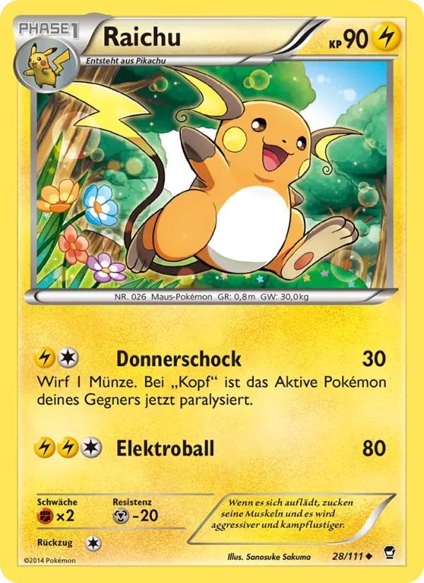 Raichu - 28