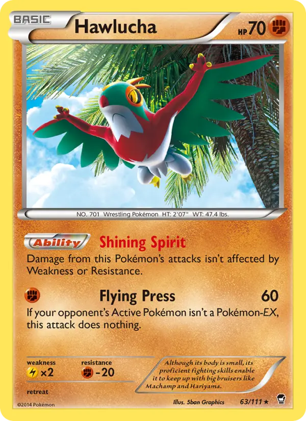 Hawlucha - 63