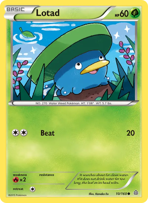 Lotad - 10