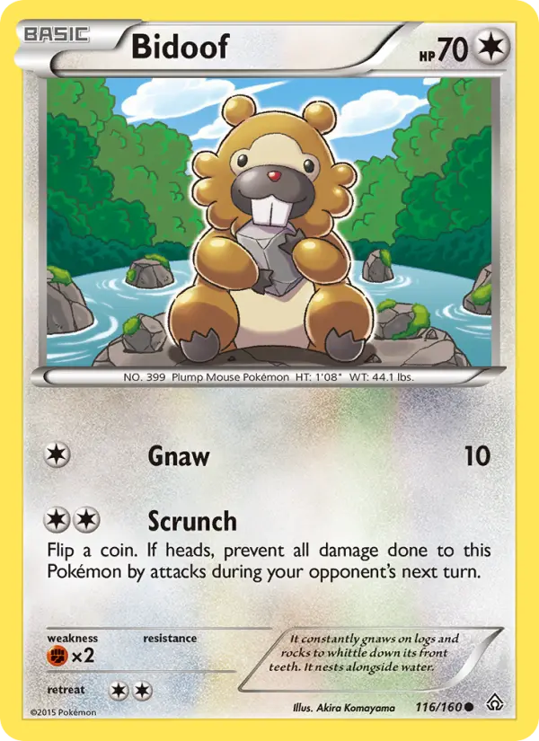 Bidoof - 116