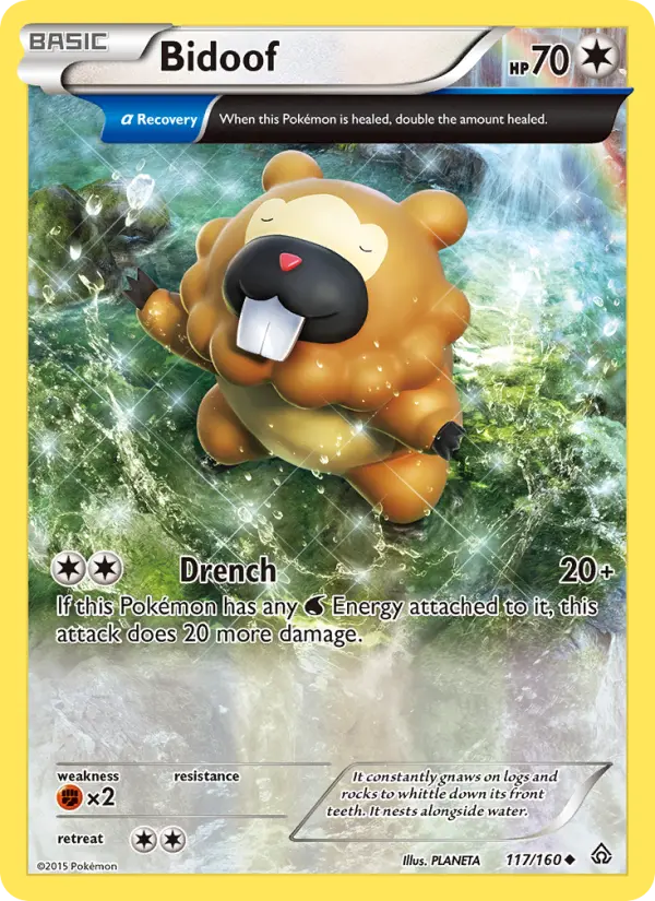 Bidoof - 117