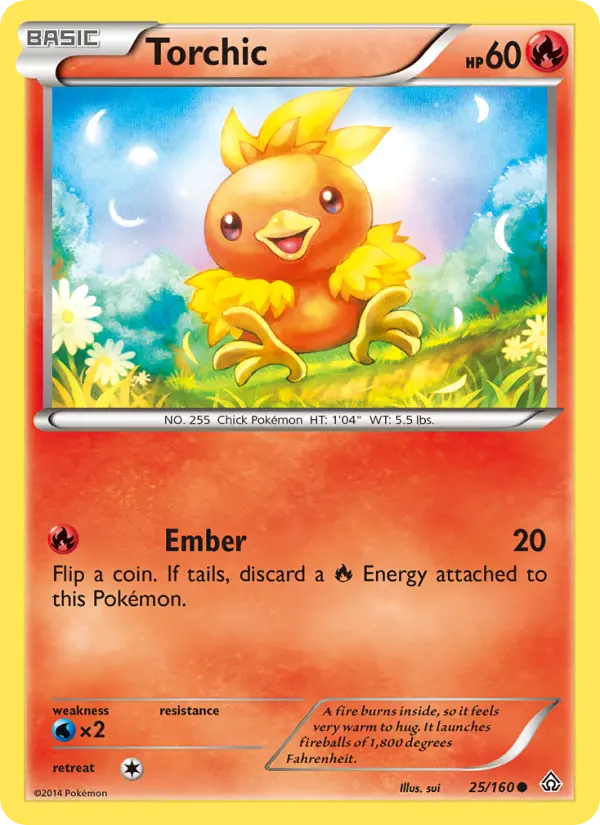 Torchic - 25
