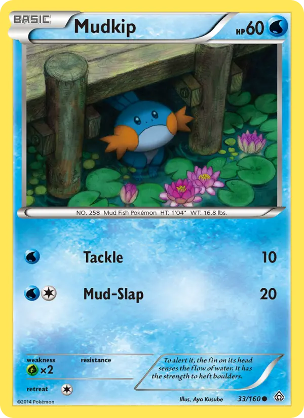 Mudkip - 33