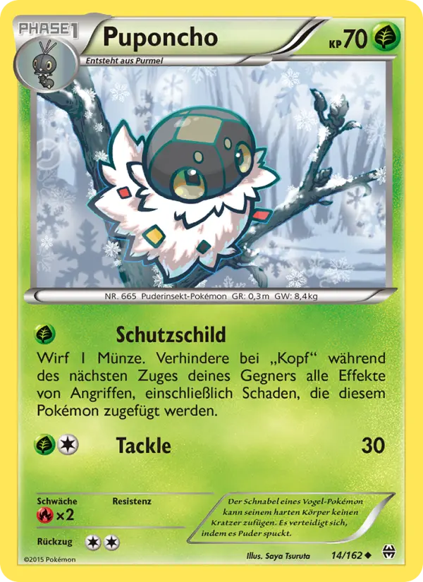 Puponcho - 14