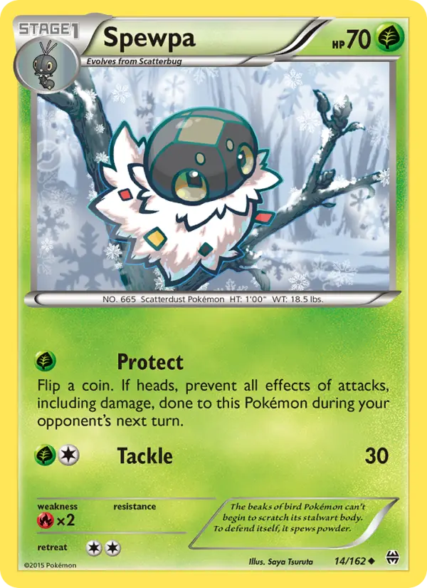 Spewpa - 14