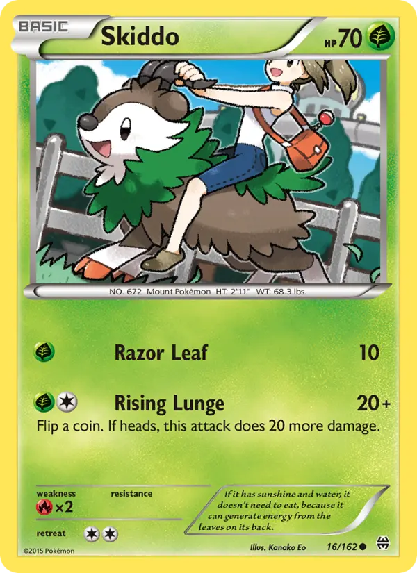 Skiddo - 16