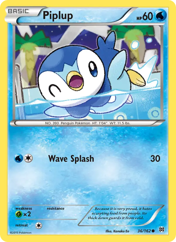 Piplup - 36