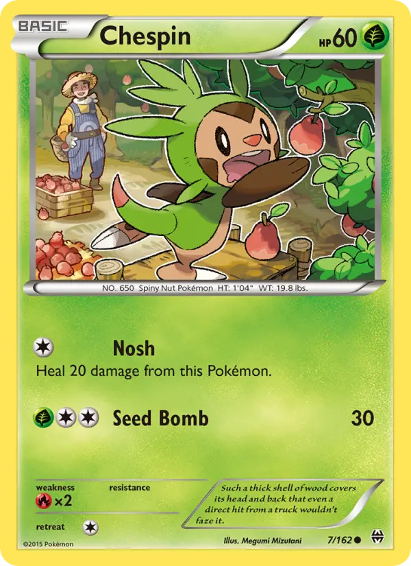 Chespin - 7