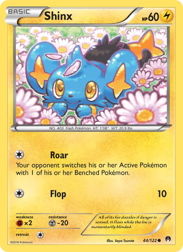 Shinx - 44