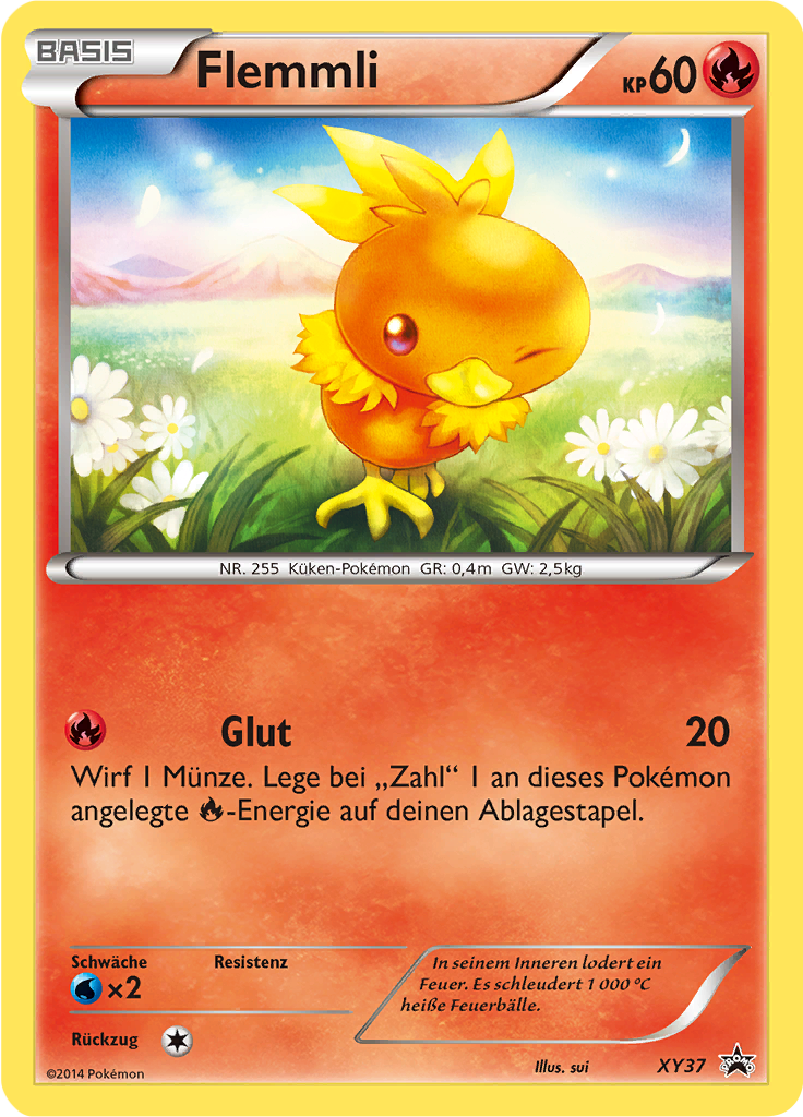 Torchic - XY37