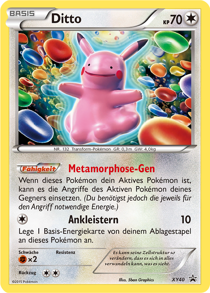 Ditto - XY40